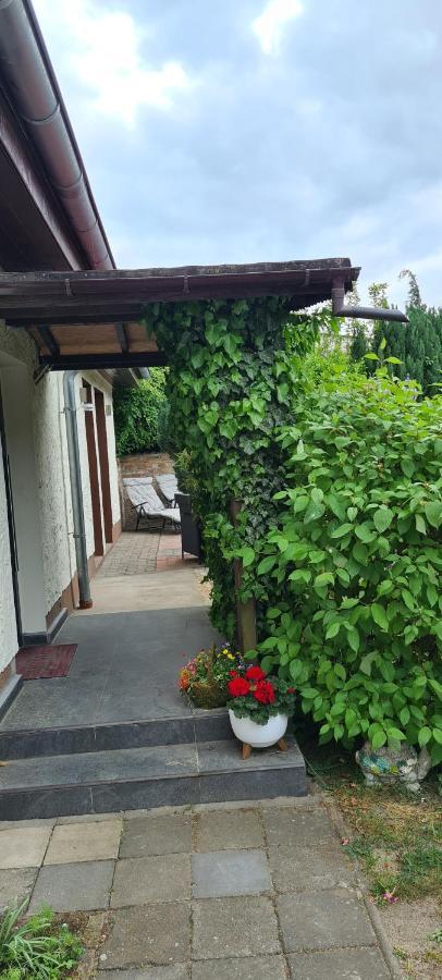 Ferienwohnung Hampel Altglietzen エクステリア 写真